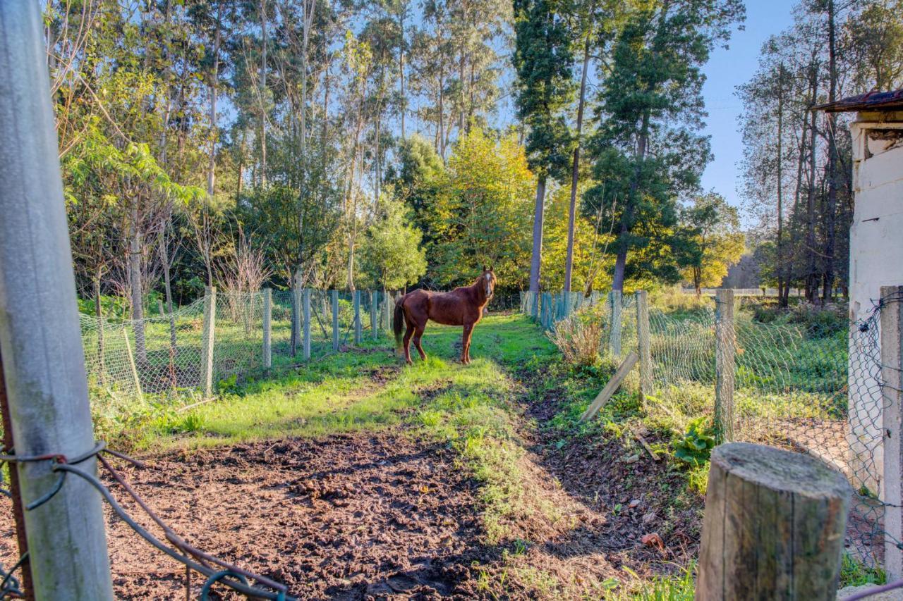 Casa Do Moinho Rural Campo E Praia , 9 Pessoas, Animais Benvindos Espinho  Exterior foto